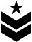 military badge