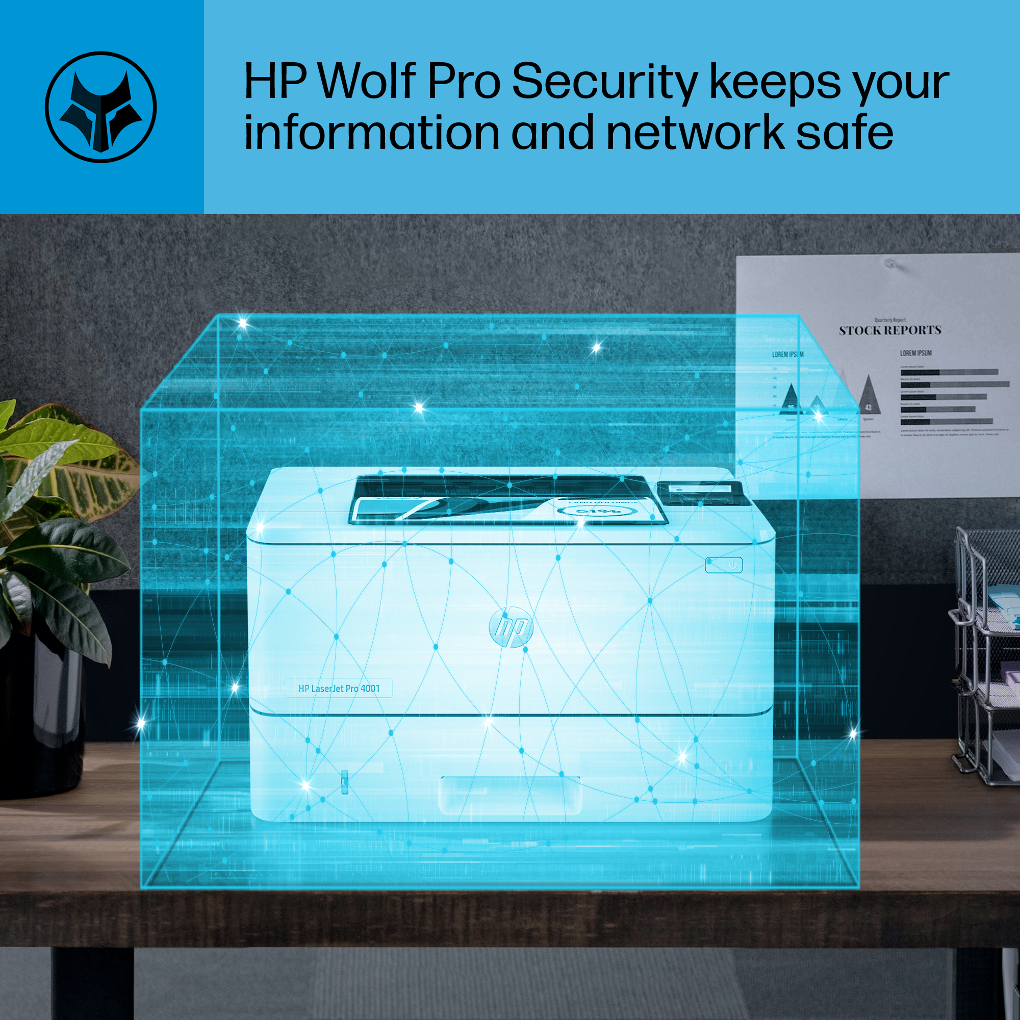 LJP 4001dw 2Z601F security