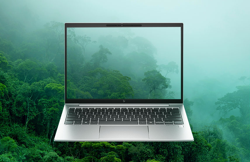 A laptop is centered in a misty jungle setting, symbolizing connectivity with nature and technology.