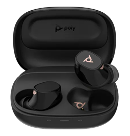 Earbuds image